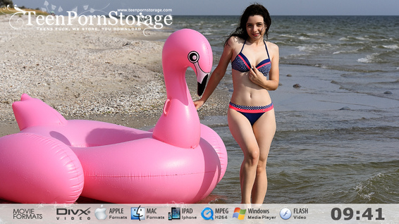 Flamingo Video